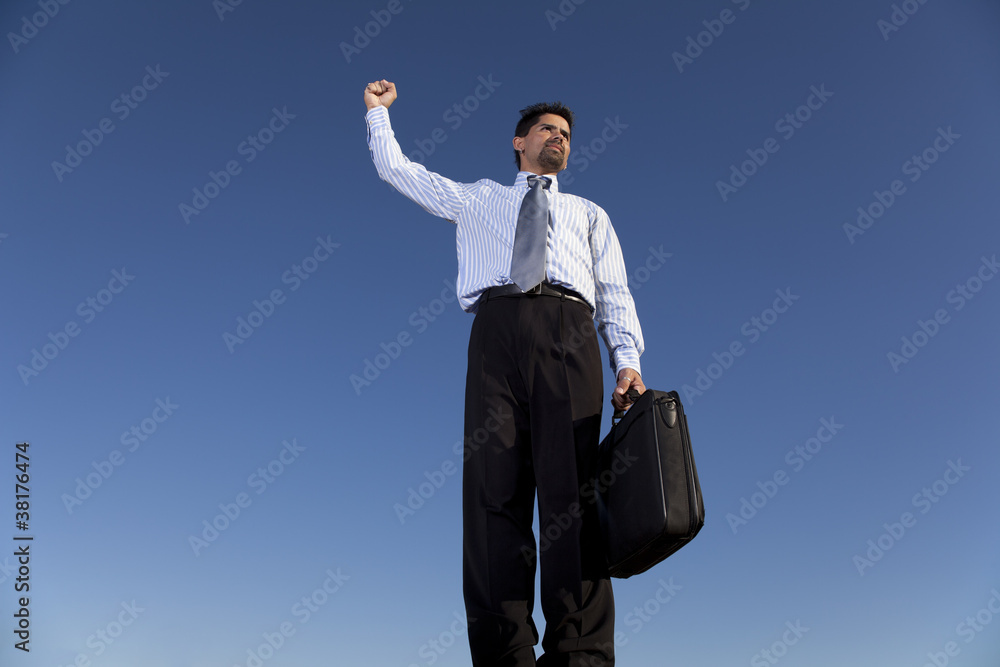 Powerful businessman holding a briefcase Powerful businessman holding a briefcase