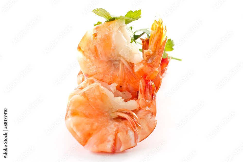Shrimp Shrimp