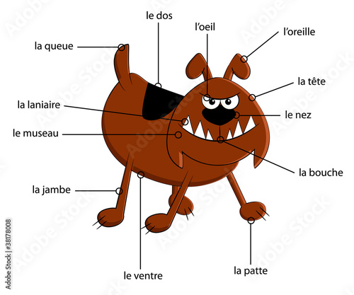 funny dog for french studies