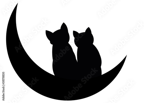 Katzen