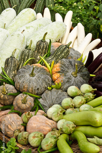 Group of tropical vegetables photo