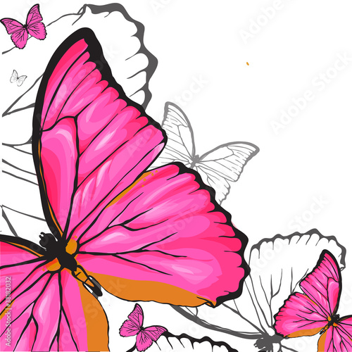 Fotografie Pink buterflies background