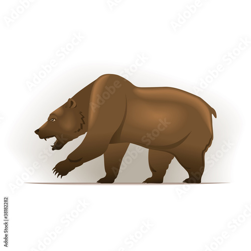 Bear vector illustration, financial theme
