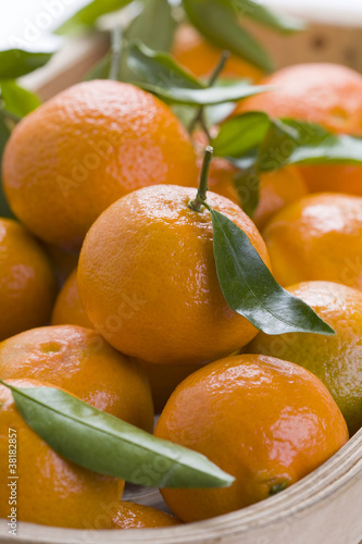 clementine oranges