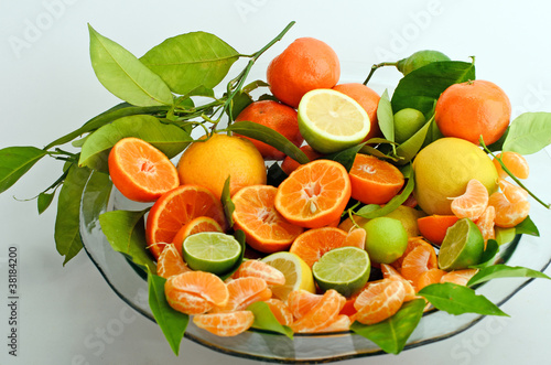 Obstschale mit vielfältigen Zitrusfrüchten