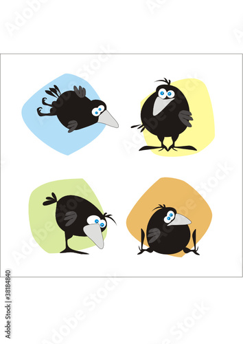 ворона/crow