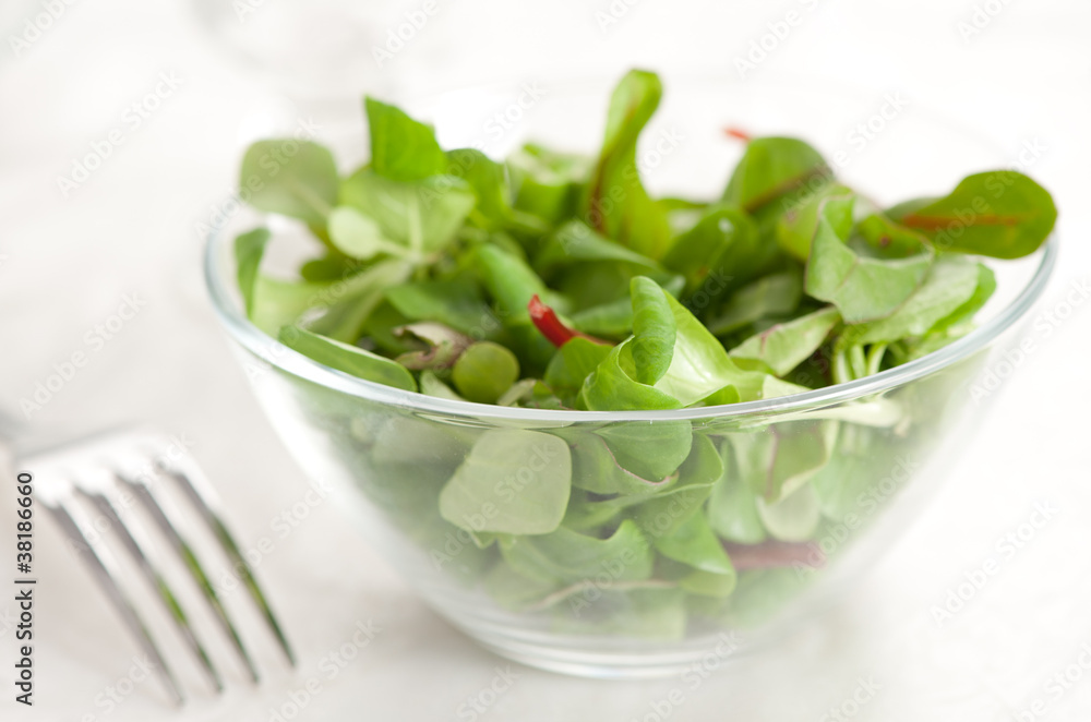 Healthy green salad on a table closeup Healthy green salad on a table closeup