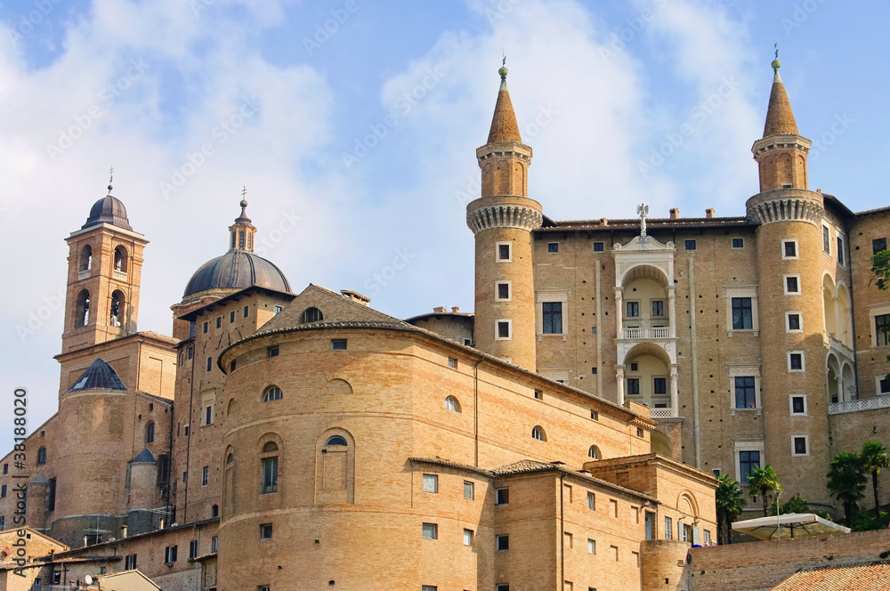 Fototapeta premium Urbino 01