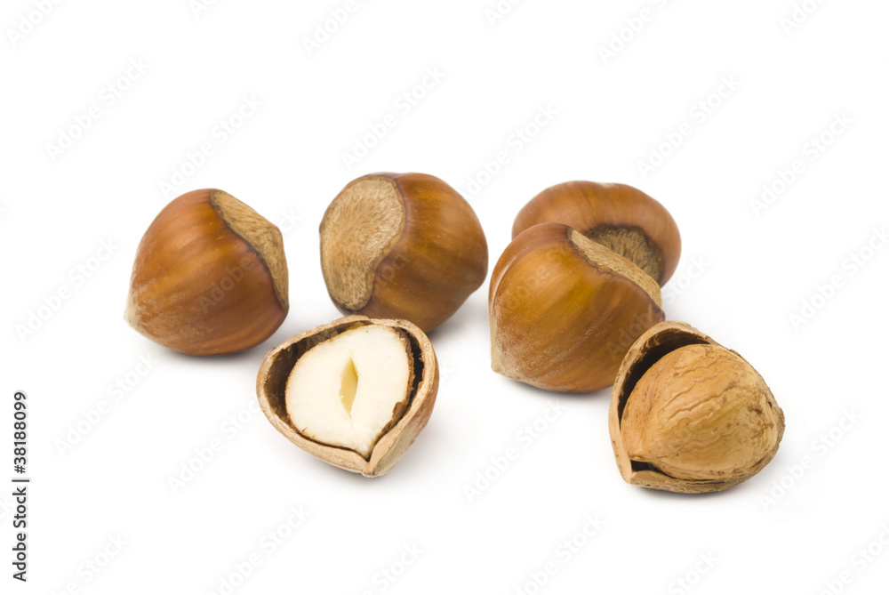 hazelnuts isolated on white background hazelnuts isolated on white background