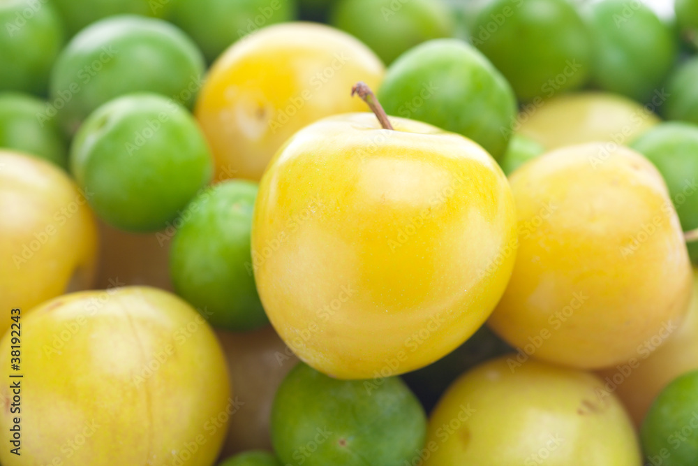 background of green and yellow plum