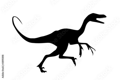 Velociraptor