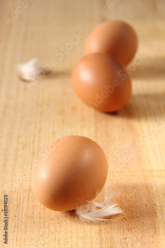 frische bio-eier