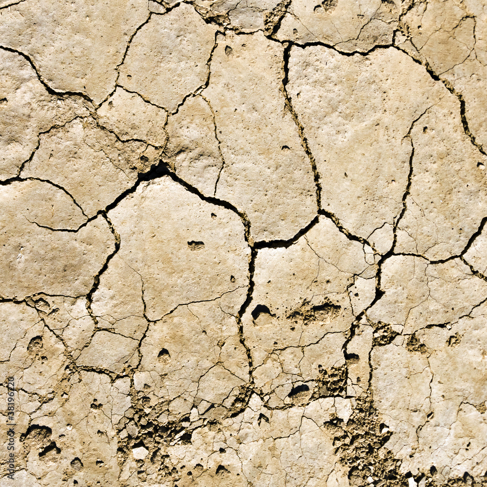 Arid earth Arid earth