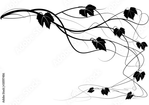 Decorative element creeper vine branches