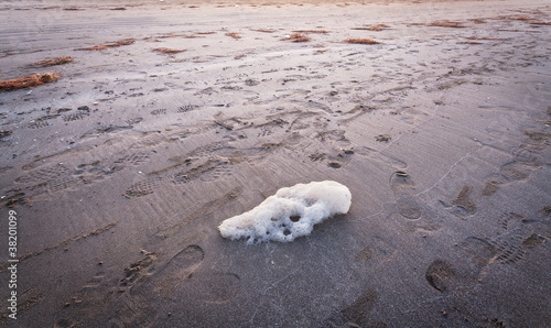 white foam on the sand and decaying algae © Ruggiero Scardigno