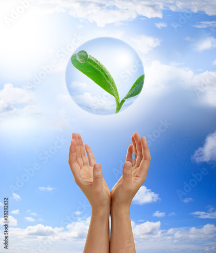 Hands holding young plant in a bubble