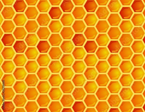 Seamless pattern honey comb © matamu