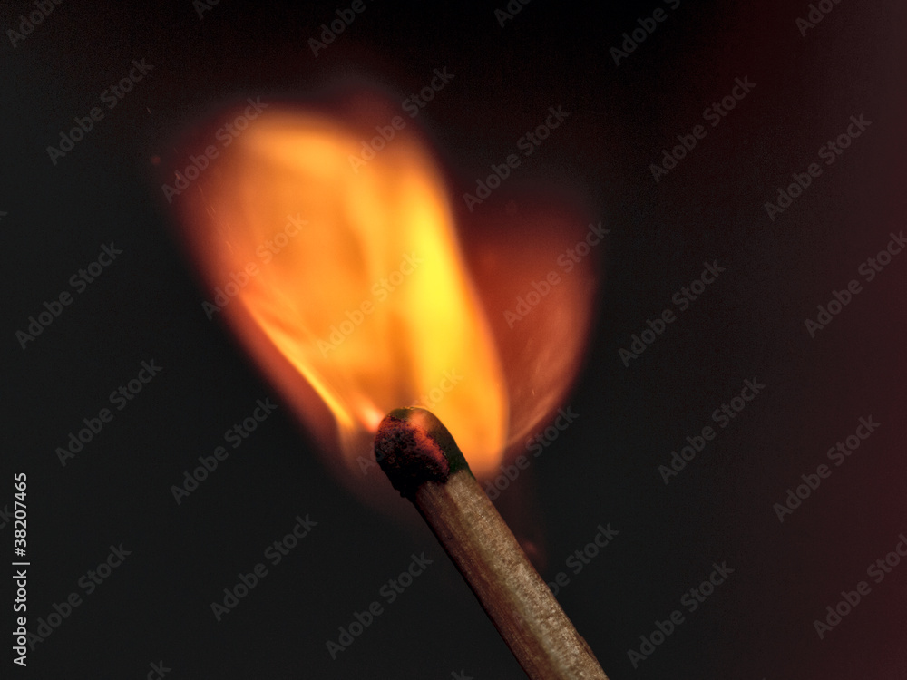 fire fire