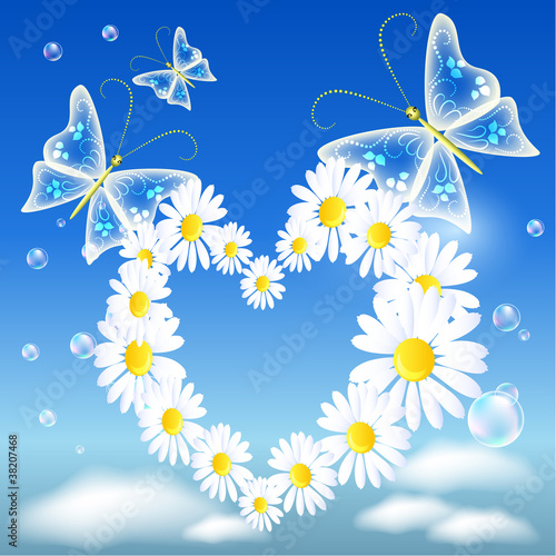 Daisy heart and butterflies