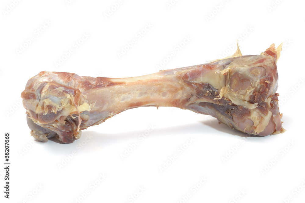 meat bone