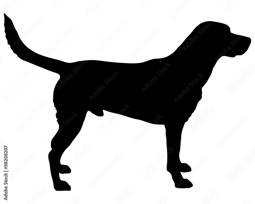 Labrador Silhouette