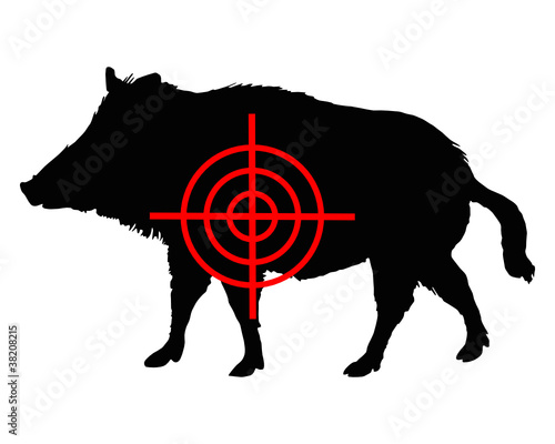 Wildschwein Fadenkreuz