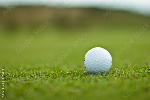 golf ball on the green grass