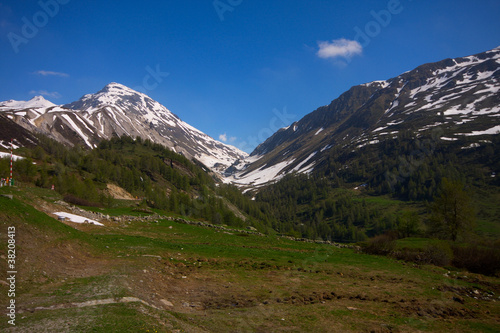 Alpi Svizzere