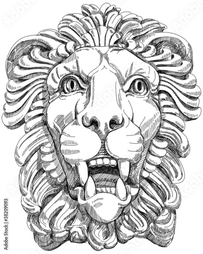 Fototapeta Naklejka Na Ścianę i Meble -  lion