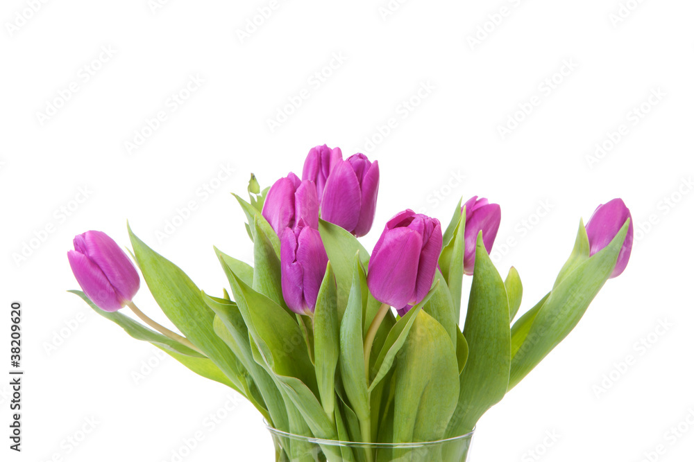 Fototapeta premium Vase with purple tulips