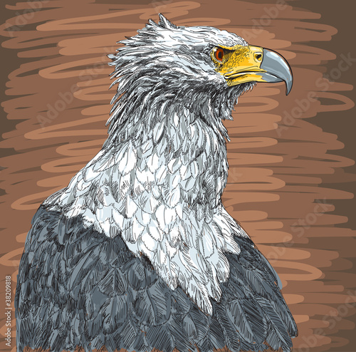 sitting eagle - vector drawing