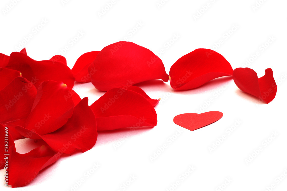 Rose petals Rose petals