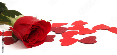 Red rose and paper hearts