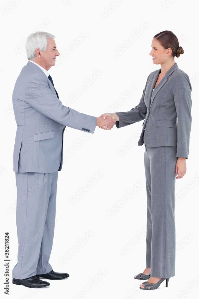 Side view of smiling businesspartner shaking hands Side view of smiling businesspartner shaking hands