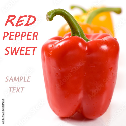 Tela Red sweet pepper (with sample text)