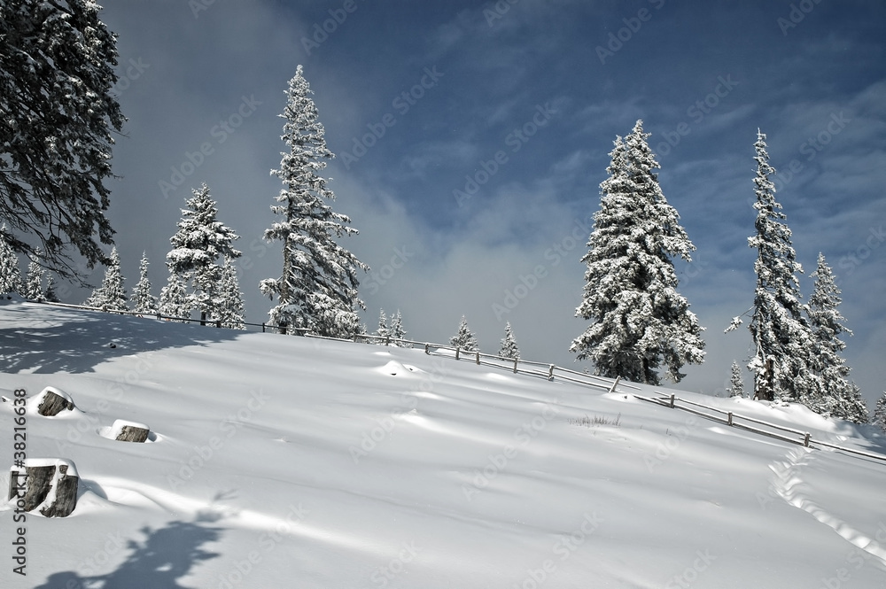 Obraz premium Winter in the mountains