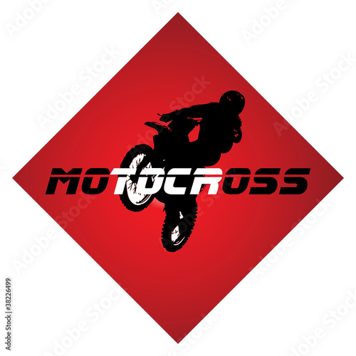 Racing vector. LOGO