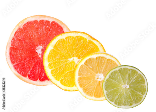 Citrus Fruit Sections