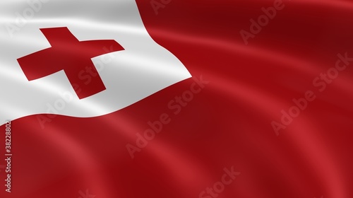 Tongan flag in the wind photo