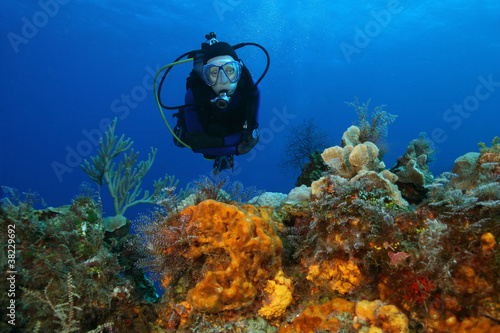 Woman Scuba Diving Over a Coral Reef - Cozumel, Mexico