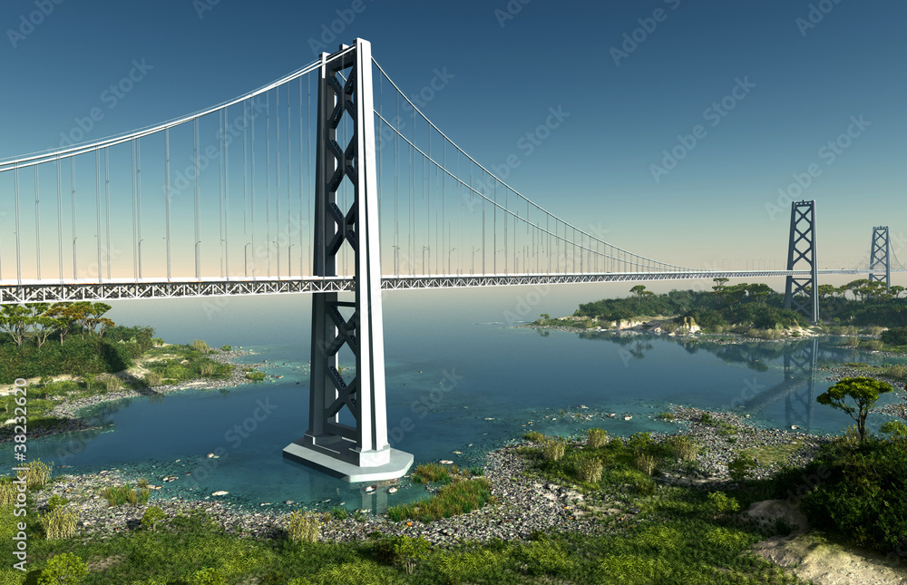 Naklejka premium The bridge