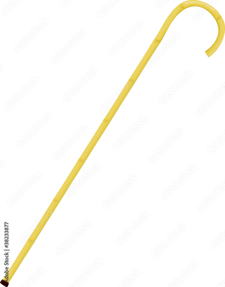 Vector illustration of a bamboo cane Vector illustration of a bamboo cane