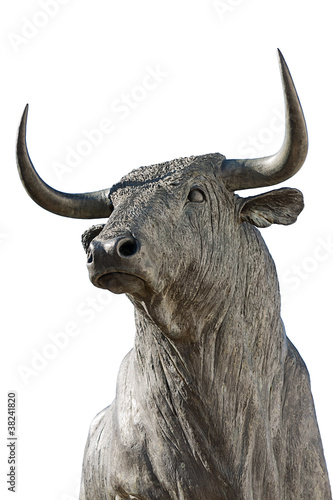 bull