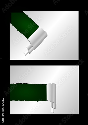 Teared paper with text (vector)