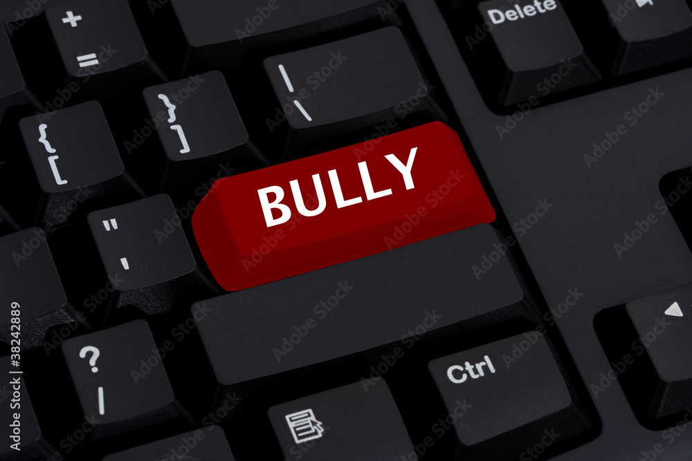 Bullying on the Internet Bullying on the Internet