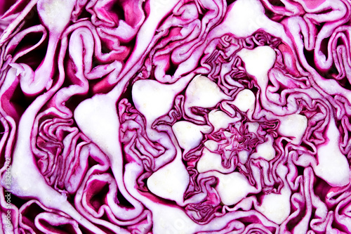 Red cabbage detail background