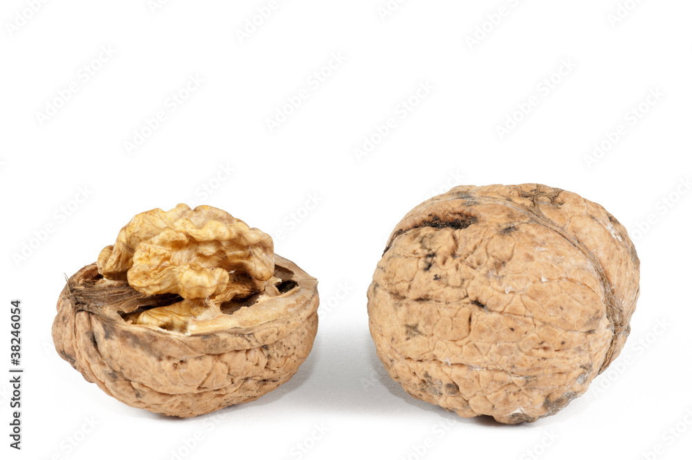Walnut Walnut