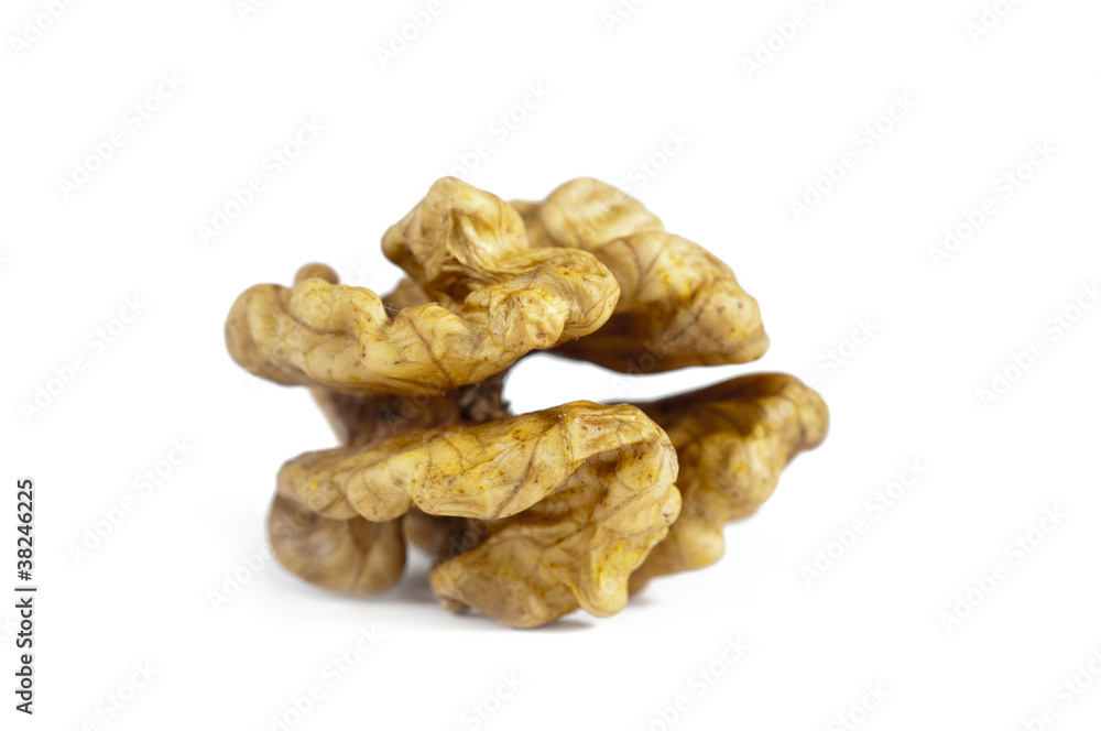 Walnut Walnut