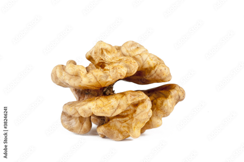 Walnut