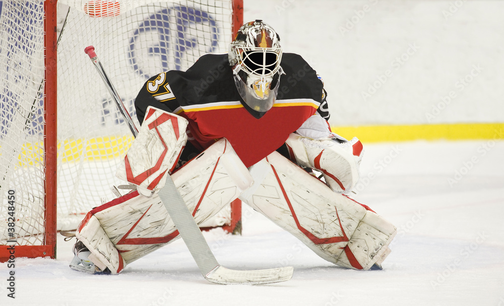 Fototapeta premium Ice Hockey Goalie